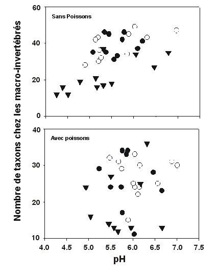 Graphique de Figure 2: Relations entre le nombre de taxons d'invertébrés espèces ou genres et le pH, pour les lacs avec et sans poissons, et appartenant au programme de surveillance de la chaine alimentaire du SCF-OR.