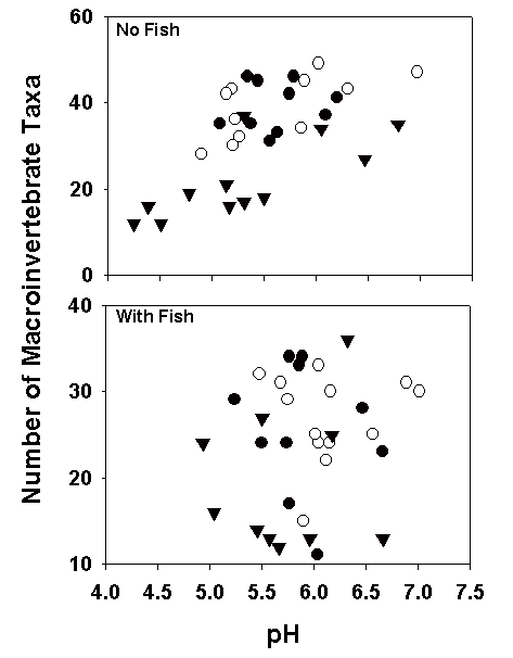 Figure 2: Relationship Between Number of Invertebrate Taxa (Species or Genera) and pH for Lakes with and without Fish in the CWS-OR Food Chain Monitoring Program.