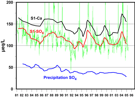Graph of Calcium (Ca) and sulphate (SO4) observed at stream station S1 and sulphate measured in precipitation. The thick lines are average annual concentrations. The thin green line shows weekly sulphate concentrations to illustrate the short-term variability normally present in monitoring data. Graph of Calcium (Ca) and sulphate (SO4) observed at stream station S1 and sulphate measured in precipitation. The thick lines are average annual concentrations. The thin green line shows weekly sulphate concentrations to illustrate the short-term variability normally present in monitoring data.