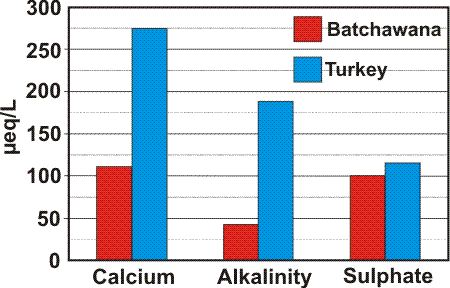 Graph of Average concentration of three important chemicals in Batchawana and Turkey Lakes. Due to differences in the surrounding forest soils, the higher elevation lake (Batchawana) has calcium and alkalinity concentrations that are less than half those observed in the lower elevation lake, Turkey Lake. Sulphate (an indicator of acid rain input) is similar in the two lakes. Graph of Average concentration of three important chemicals in Batchawana and Turkey Lakes.