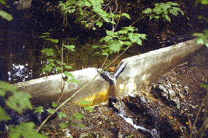 Picture of Weir at sampling site S1, Norberg Creek