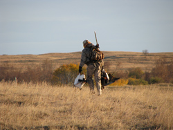 Hunter retreiving catch  | Photo: Ray Alisauskas, Environment Canada