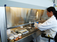 Technician preparing samples for inclusion into the Specimen Bank