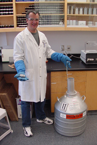 Technician preparing amphibian samples for cryogenic freezing