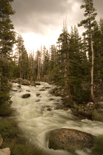 Une rivière traverse la forêt boréale
