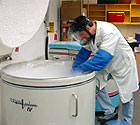 Un scientifique au travail dans une salle d’entreposage cryogène