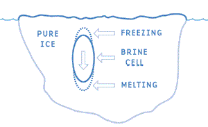 Diagram of a brine cell.