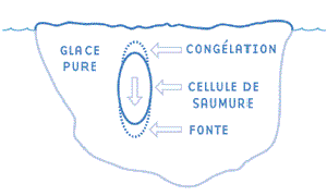 Diagramme d'une cellule de saumure.