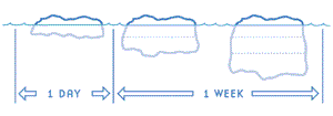 Diagram of ice thickness growth after one day and one week.