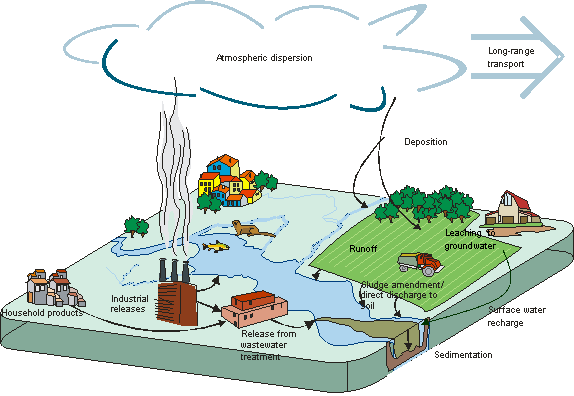 Figure 3. Example of substance entry into the environment resulting from human activity