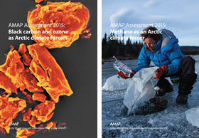 Arctic Monitoring and Assessment Programme (AMAP) cover report.