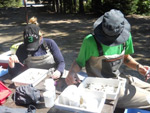 Researchers sorting invertebrates at Nancy Green Lake for the CARA Mercury Science Program © Johan Wikland, Environment and Climate Change Canada