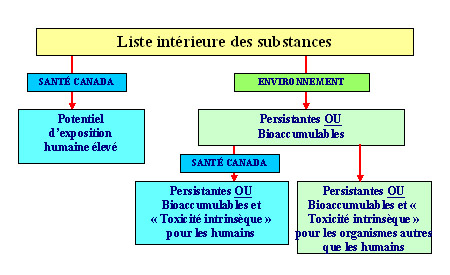 Le processus de catégorisation appliqué par Santé Canada et Environnement et Changement climatique Canada (Voir description longue ci-dessous.)