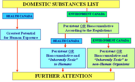 The categorization process that was followed by Health Canada and Environment and Climate Change Canada (See long description below)
