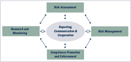 CEPA 1999 management cycle (see long description below).
