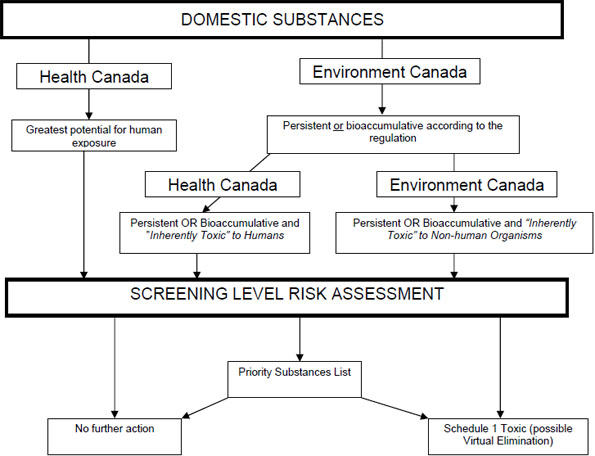 Figure 2: Categorization and Screening Process