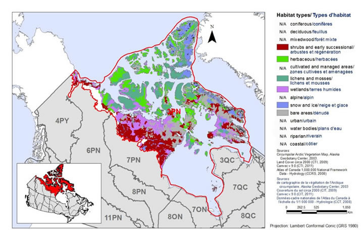 Circumpolar Arctic Vegetation Map (CAVM; b).