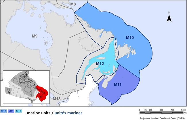 Marine Unit Map. See text description below.