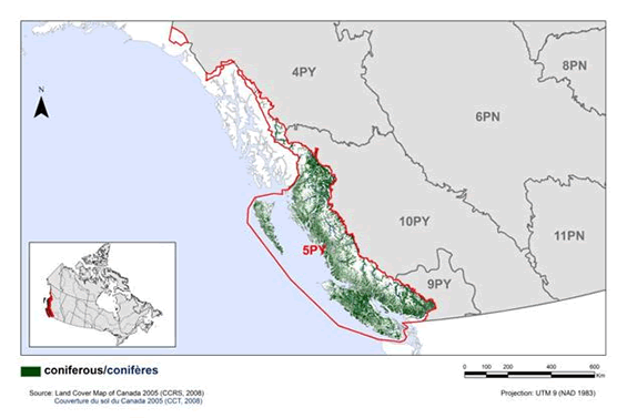 Map of coniferous habitat