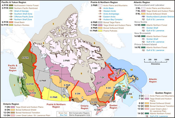 Canada's Bird Conservation areas
