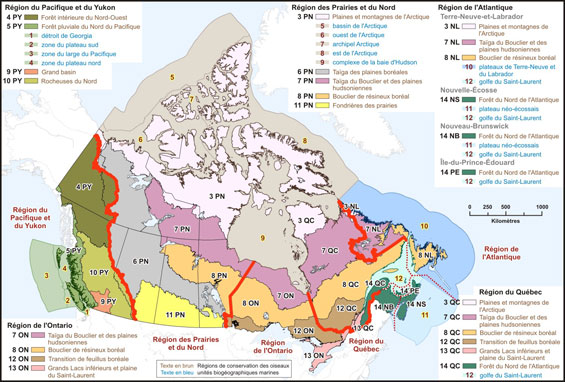 Régions de conservation des oiseaux