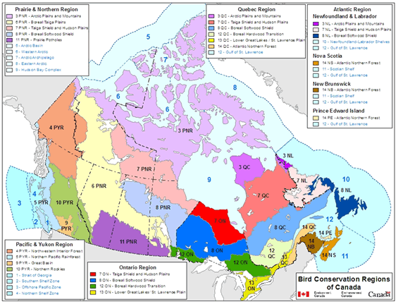 Map of Planning units and jurisdictions for Canadian Bird Conservation strategies.
