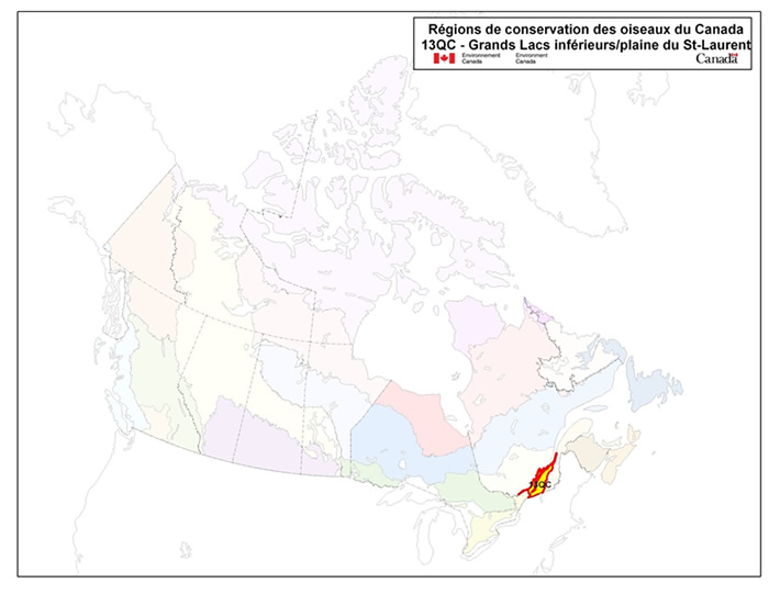 Carte des régions de conservation des oiseaux du Canada. Voir description longue ci-dessous.