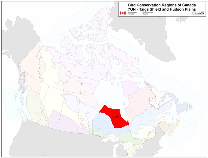 Map of the Bird Conservation Regions of Canada, with BCR 7, Ontario Region: Taiga Shield and Hudson Plains highlighted in red. See long description below.