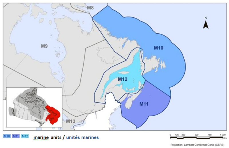 Marine Unit Map. See long description below.