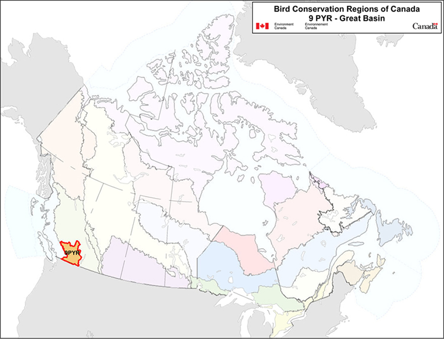 Map of the Bird Conservation Regions of Canada, with BCR 9, Pacific and Yukon Region see long description for more information.