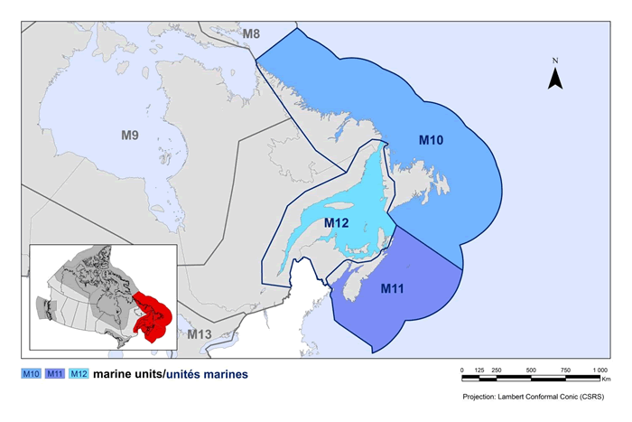 Carte des unités biogéographiques marines de l'est du Canada