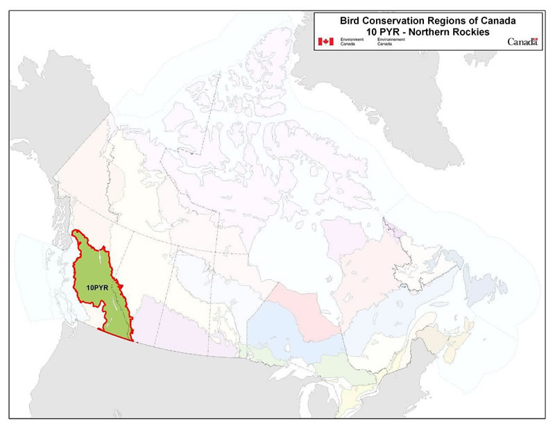 Map of the Bird Conservation Regions (BCR's) of Canada, with BCR 10, Pacific and Yukon Region: Northern Rockies highlighted