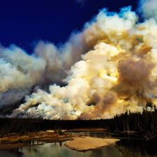 Forest fire burning. 