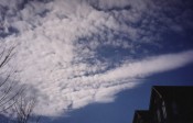 altocumulus (middle cloud)