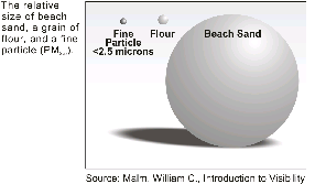 Diagram: The relative size of beach sand, a grain of flour, and a fine particle