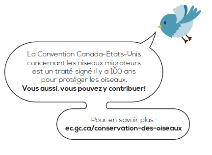 Illustration d'un oiseau de bande dessinée parlant l'adresse du site Web où les mots à l'intérieur d'un ballon