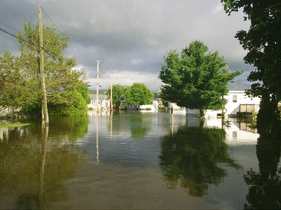 Inondation de la rue Walter, à Saint John, N.-B., causée par la tempête post-tropicale Hanna en 2008. Photo: Cheryl Killam