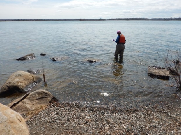A researcher collects water samples in the St. Marys River. 