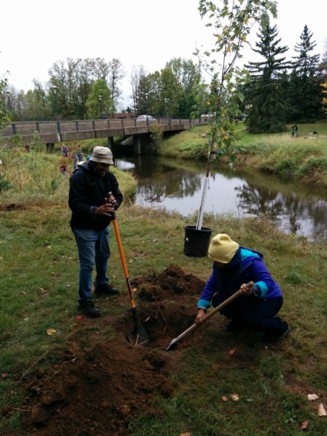 Des étudiants plantent des arbres le long du lac Ontario. 