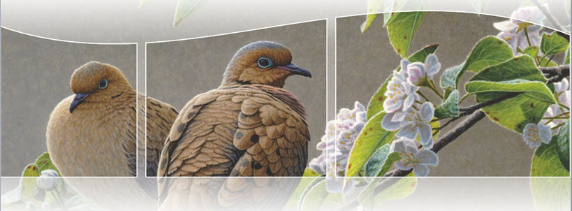 2012 Canadian Wildlife Habitat Conservation Stamp