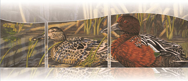2014 Canadian Wildlife Habitat Conservation Stamp