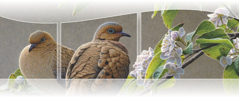 2012 Canadian Wildlife Habitat Conservation Stamp