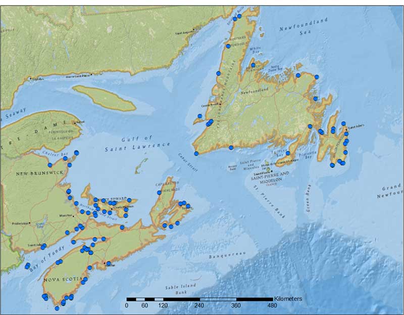 Carte de l'Atlantique limicoles sites d'enquête