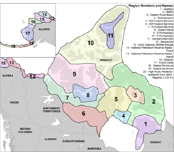 Map showing the twenty regions