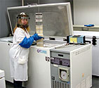 Scientist retrieving samples from specimen bank