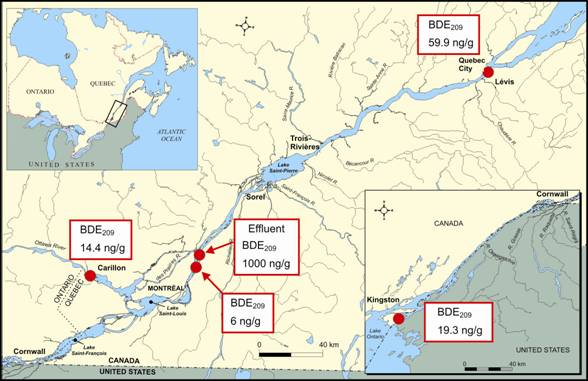 Figure showing concentrations in suspended particulate matter in the St. Lawrence River at Quebec City as well as at the outlet of Lake Ontario, at the mouth of the Ottawa River and in a municipal effluent. Concentrations in suspended particulate matter in the St, Lawrence River at Quebec City are three to four times higner than at the outlet of Lake Ontario or at the mouth of the Ottawa River. Urban dischages that contain 1000 ng/g of PBDEs are velieved to contribute to the contamination of the St, Lawrence.