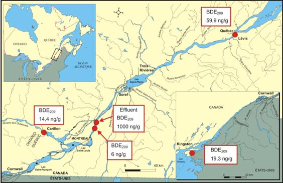 Figure représentant les concentrations dans les matières en suspension du fleuve à Québec ainsi qu'à la décharge du lac Ontario, à l'embouchure de la rivière des Outaouais et dans un effluent municipal. Les concentrations dans les matières en suspension du fleuve à la hauteur de Québec sont de trois à quatre fois plus élevées qu'à la décharge du lac Ontario ou qu'à l'embouchure de la rivère des Outaouais. Les rejets urbains qui contiennent 1 000 ng/g de PBDE contribueraient à la contamination du Saint-Laurent.