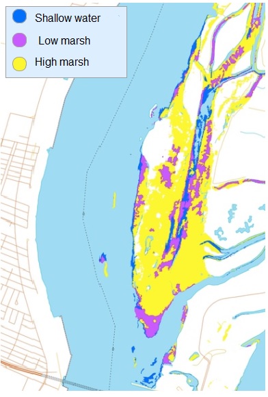 Map of the Boucherville Islands showing different types of wetlands in 2010, such as shallow water in blue, low marsh in pink and high marsh in yellow. High marshes are much more present in comparison to low marshes dans shallow water