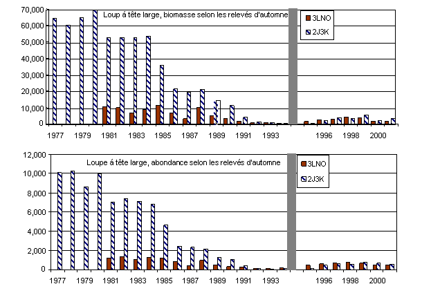 Figure 4a. Tendances des indices de l’abondance (graphique du bas) et de la biomasse (graphique du haut) pour A. denticulatus entre 1977 et 2001. Les indices ont été établis d’après les relevés scientifiques d’automne de Terre-Neuve et du Labrador. La tendance pour la zone nord (2J3K) est montrée séparément de celle affichée dans la zone sud (3LNO). Le trait sombre vertical sépare les deux séries chronologiques. Avant l’automne 1995, on a utilisé un chalut Engel et, les années suivantes, un chalut Campelen (d’après Simpson et Kulka, 2002).
