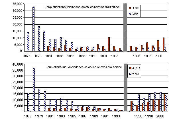 Figure 4c. Tendances des indices de l’abondance (graphique du bas) et de la biomasse (graphique du haut) pour A. lupus entre 1977 et 2001. Les indices ont été établis d’après les relevés scientifiques d’automne à Terre-Neuve et au Labrador. La tendance pour la zone nord (2J3K) est montrée séparément de celle affichée dans la zone sud (3LNO). Le trait sombre vertical sépare les deux séries chronologiques. Avant l’automne 1995, on a utilisé un chalut Engel et, les années suivantes, un chalut Campelen (d’après Simpson et Kulka, 2002).